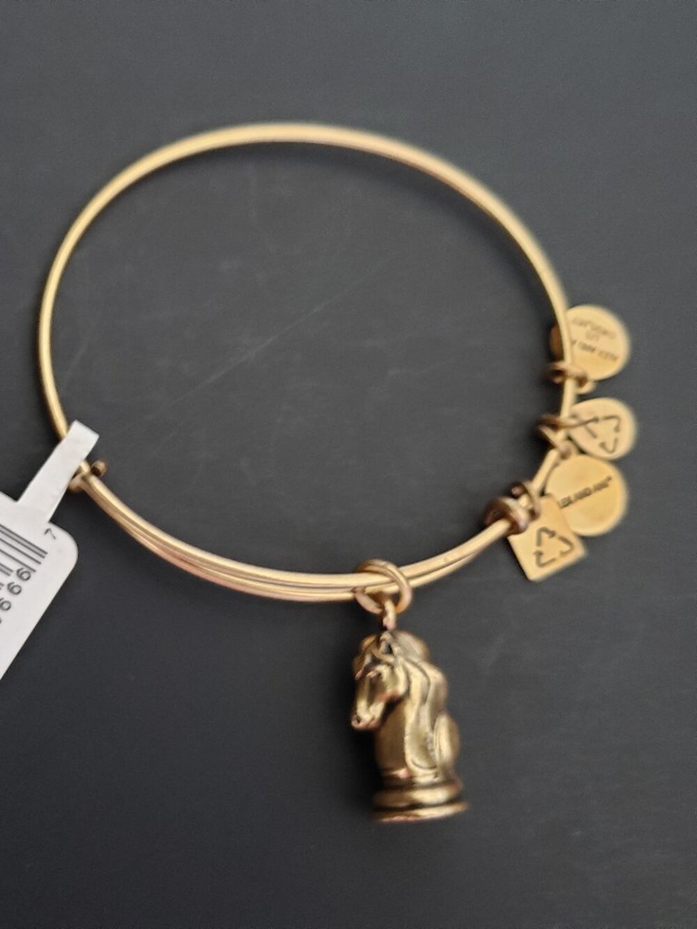 NWT ALEX AND ANI "THE KNIGHT" BRACELET Chess Horse 668